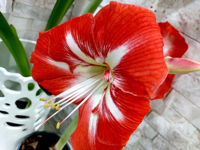  - Ianuarie -februarie2022