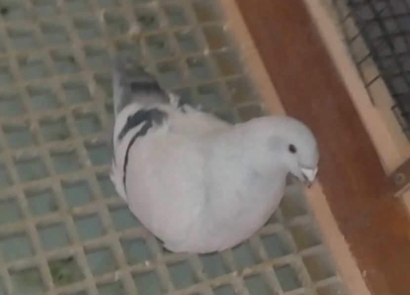 49 (F.) Archiwum - h- MLODE -2021- Youth