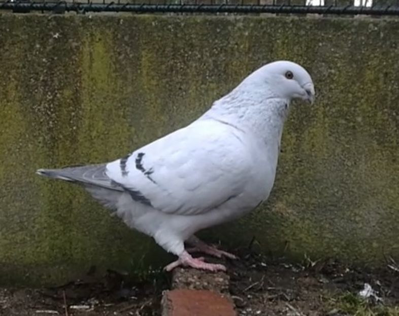 40 Archiwum - h- MLODE -2021- Youth