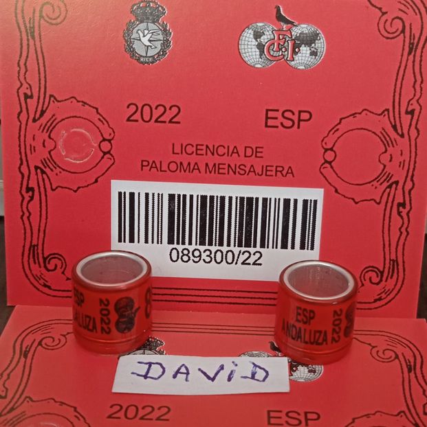 2022-Spania FCI+talon....-4 lei - Inele 2014