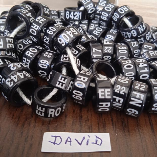 2022-EE 09 mm....-1.3 lei - Inele 2014