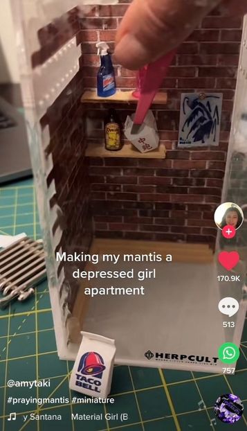 fav tiktoker ♥️ - Collection of Tintypes