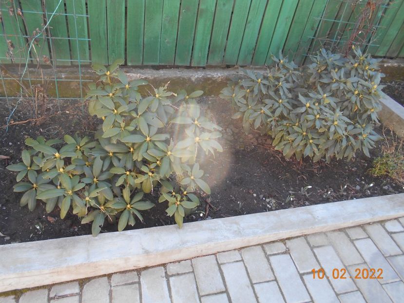  - 02 Iarna 2021-2022