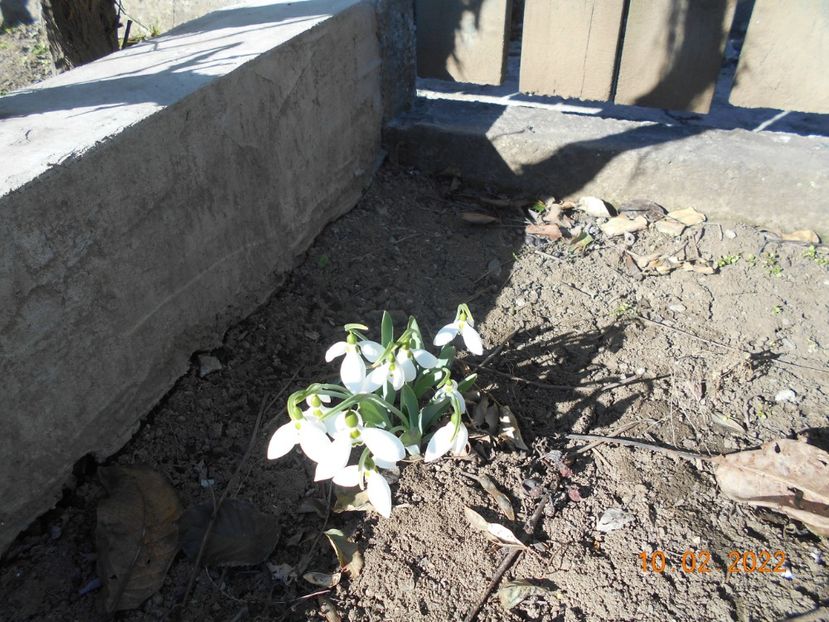  - 02 Iarna 2021-2022