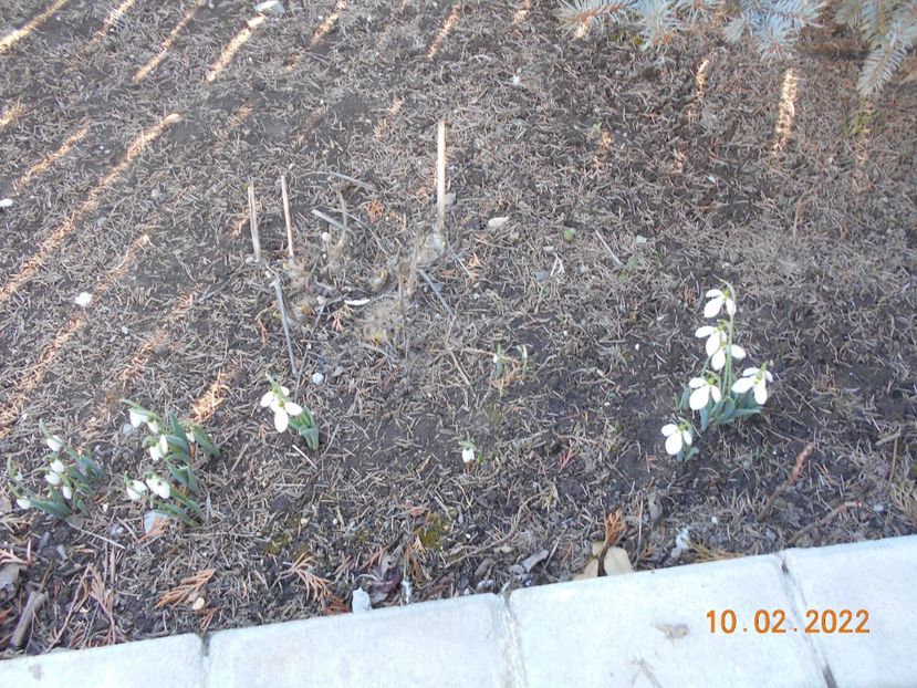  - 02 Iarna 2021-2022