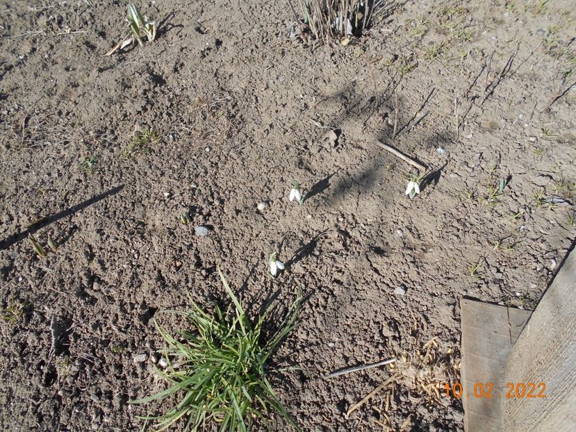  - 02 Iarna 2021-2022