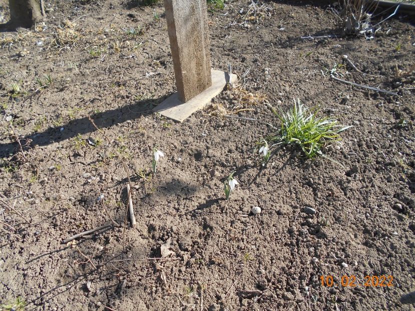  - 02 Iarna 2021-2022