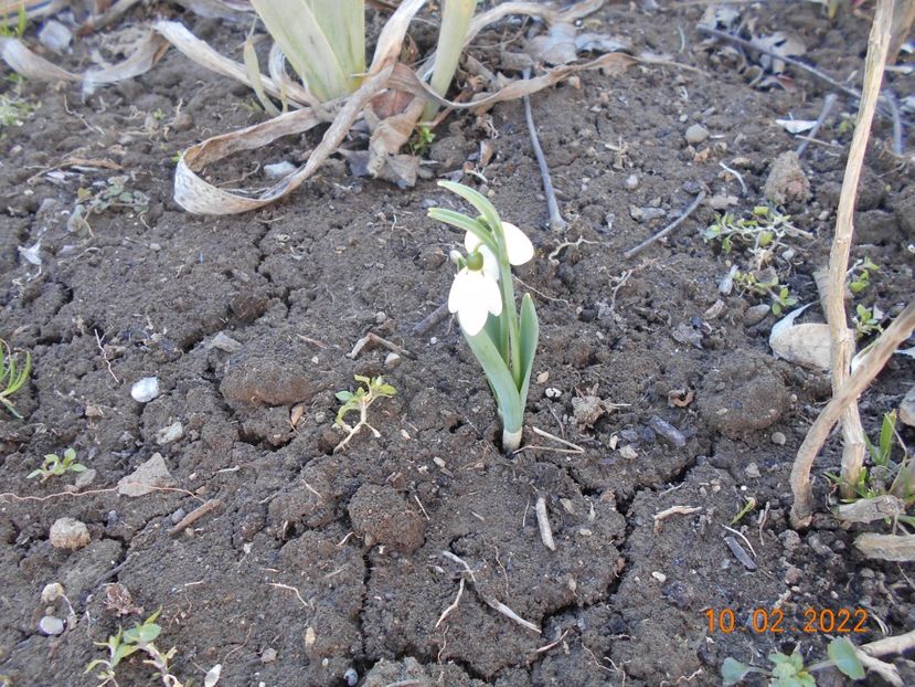  - 02 Iarna 2021-2022