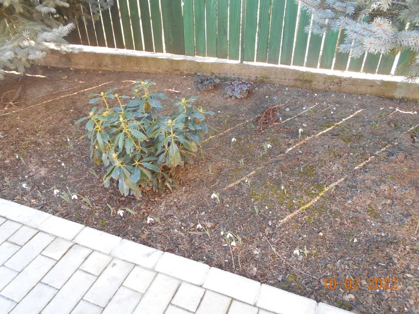  - 02 Iarna 2021-2022