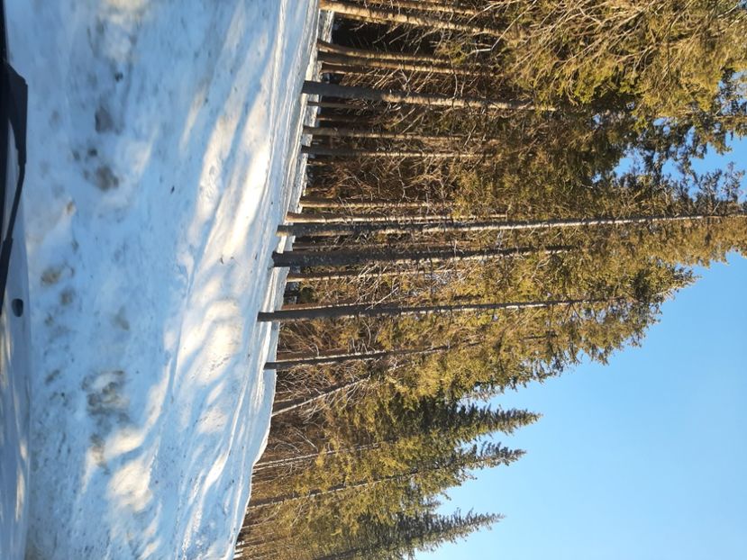  - Rânca februarie 2022