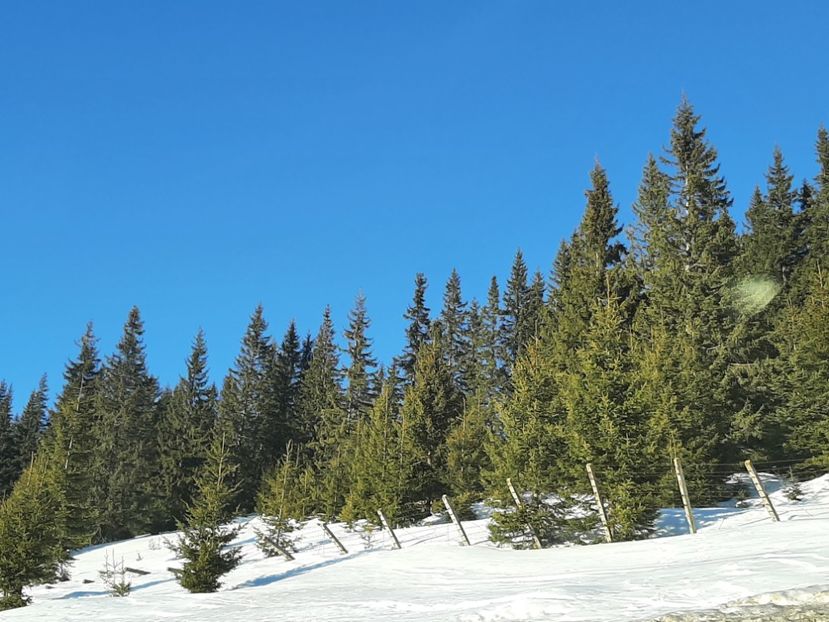  - Rânca februarie 2022