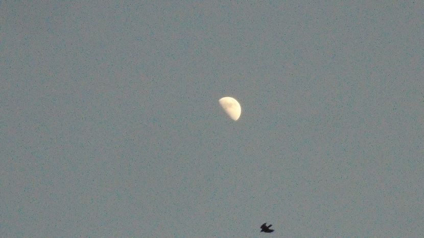 Primul patrar al Lunii in gemeni - Luna - Soarele si norii - 3