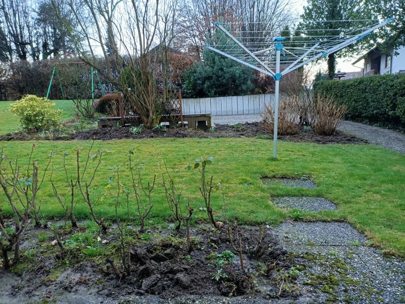 Img.2022.02.11 - Grădina mea