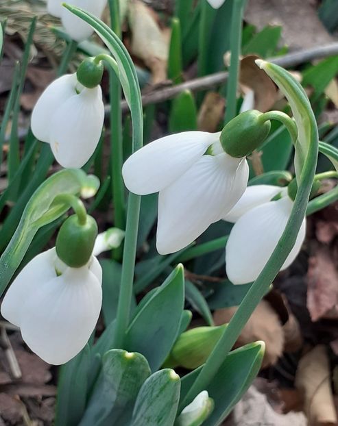  - FEBRUARIE