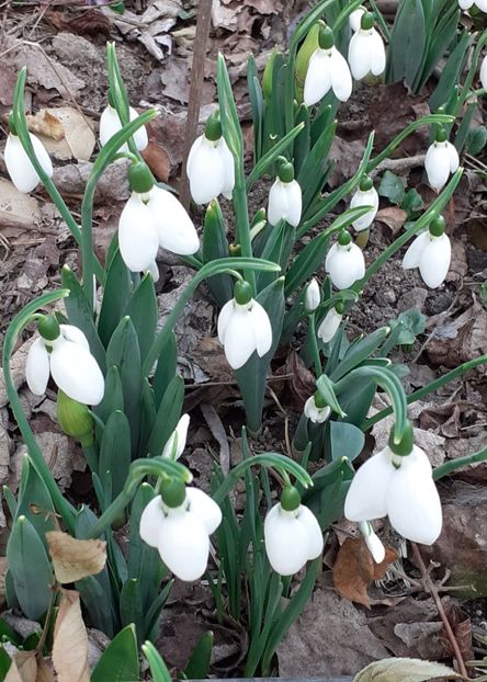  - FEBRUARIE