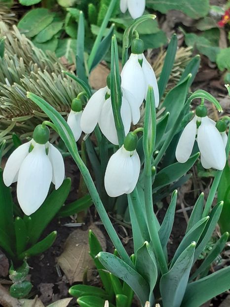  - FEBRUARIE