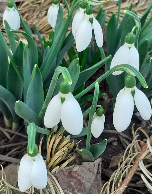  - FEBRUARIE