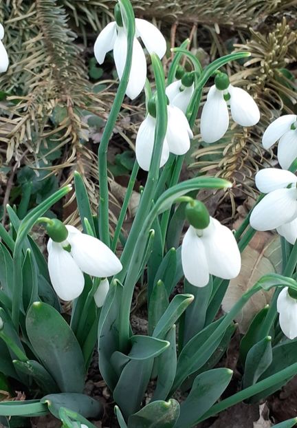  - FEBRUARIE