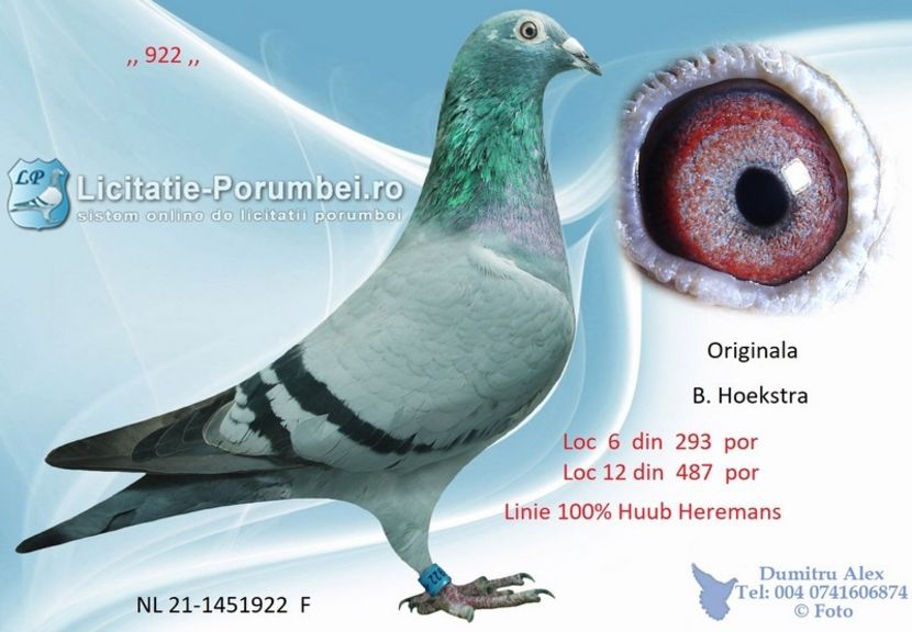  - Willy Cokelaere - Belg-2021