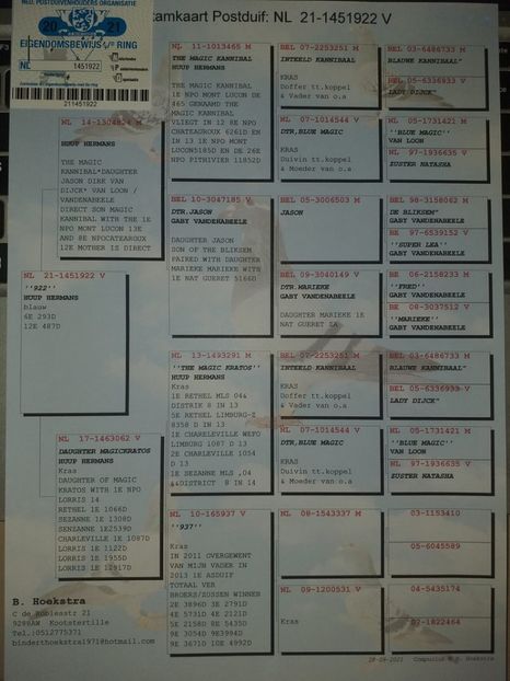 22ped - Willy Cokelaere - Belg-2021