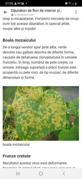 Screenshot_20220213-010508_Messenger - Poze boli virale