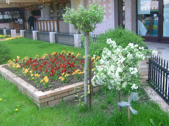 PARC GARDEN NEPTUN - NEPTUN