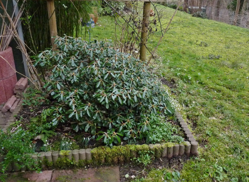  - 2021 - 04 - 2022 - 00 - Iarna