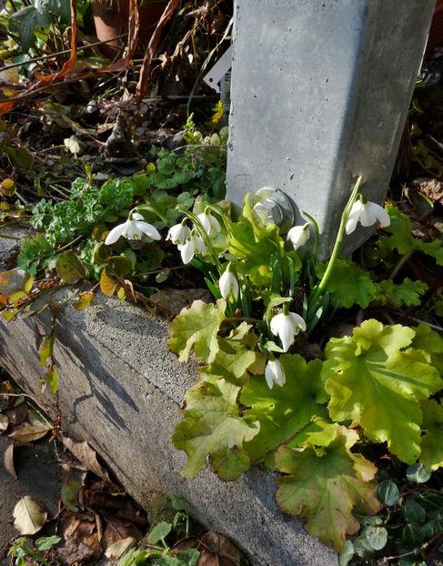  - 2021 - 04 - 2022 - 00 - Iarna