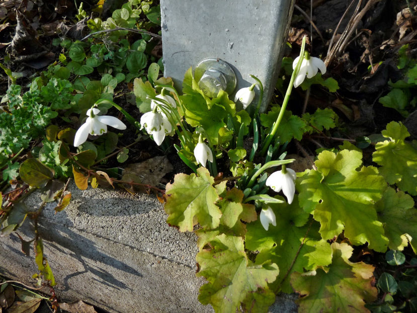  - 2021 - 04 - 2022 - 00 - Iarna