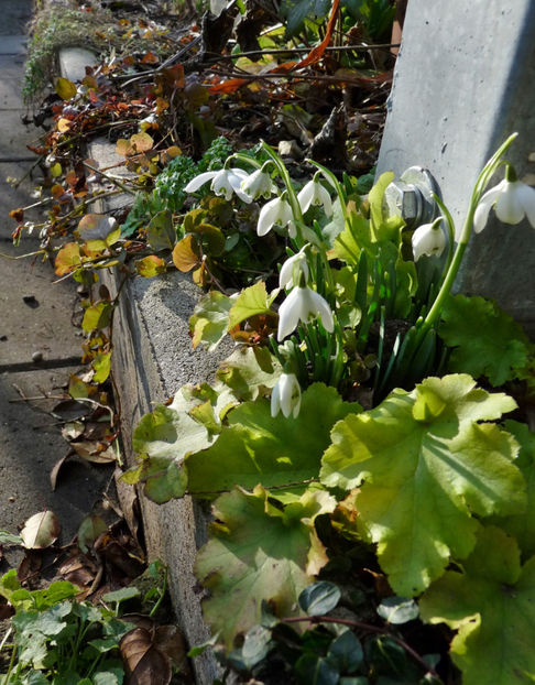  - 2021 - 04 - 2022 - 00 - Iarna