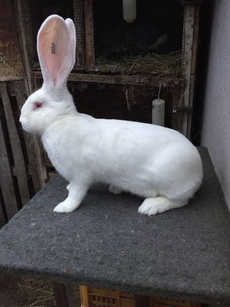 B37A7423-D436-4BA2-9B50-33FA657C5ECE - RO 8-5112