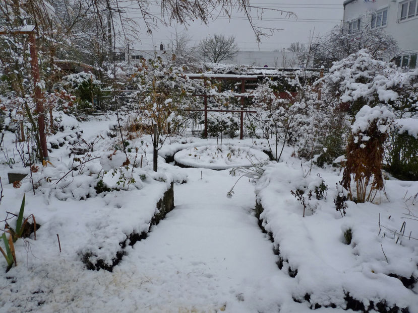  - 2021 - 04 - 2022 - 00 - Iarna