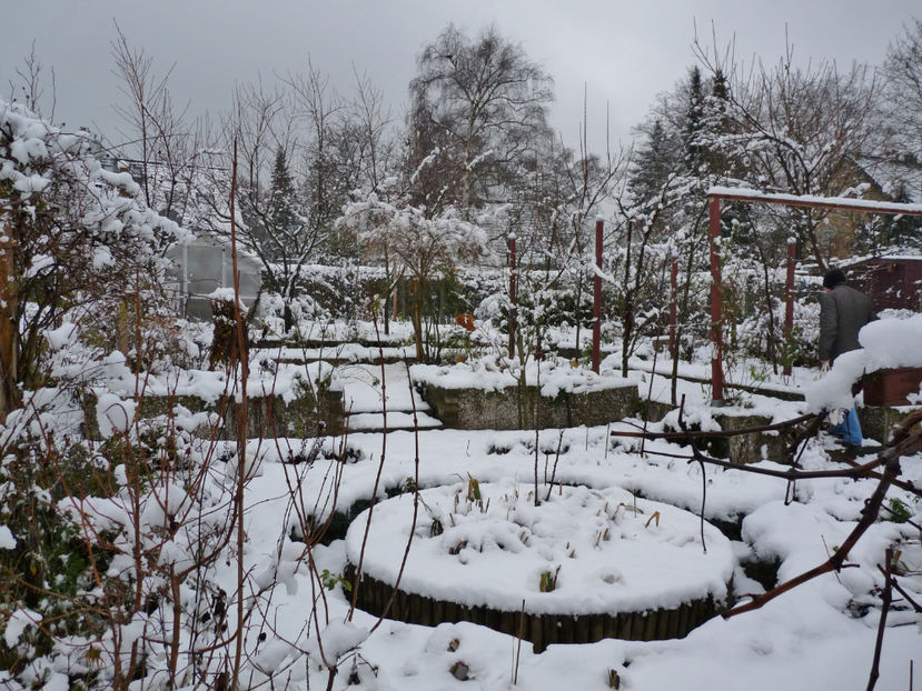  - 2021 - 04 - 2022 - 00 - Iarna