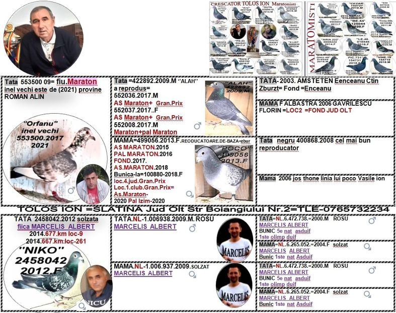 orfanu+miko - 2 MATCA 2022