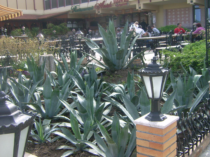 PARC GARDEN NEPTUN - NEPTUN