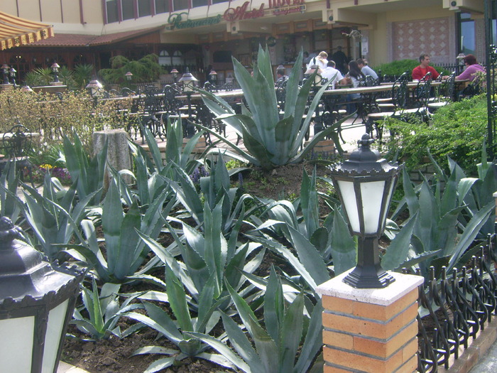 PARC GARDEN NEPTUN - NEPTUN