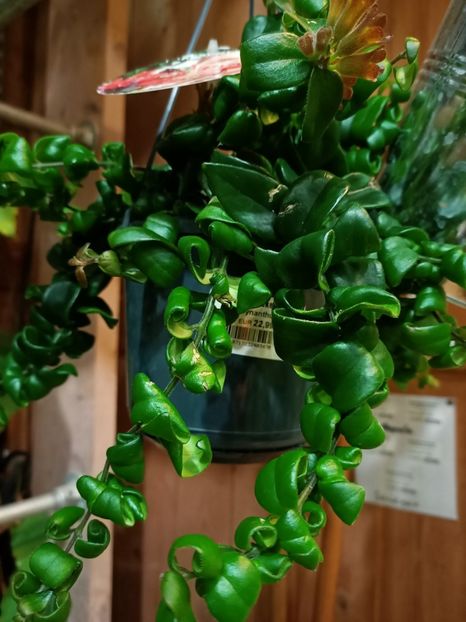 Img.2022.02.14 - Magazinul