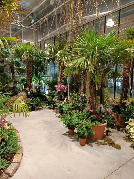 Img.2022.02.14 - Magazinul