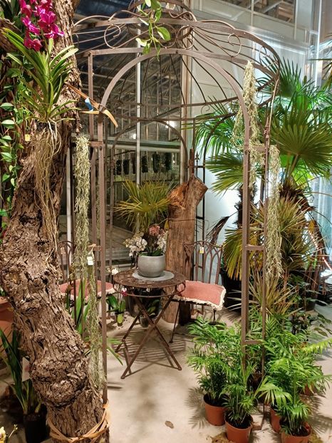 Img.2022.02.14 - Magazinul