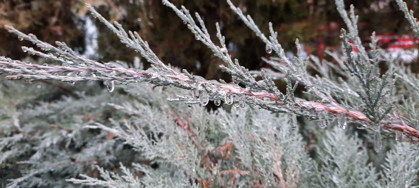 27.12.2021 - Diverse poze