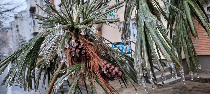 27.12.2021 - Diverse poze