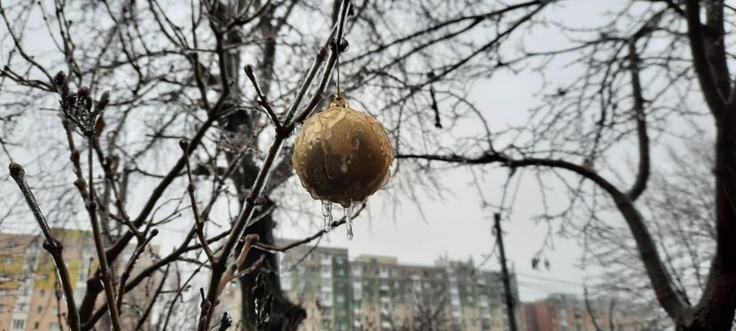 27.12.2.21 - Diverse poze