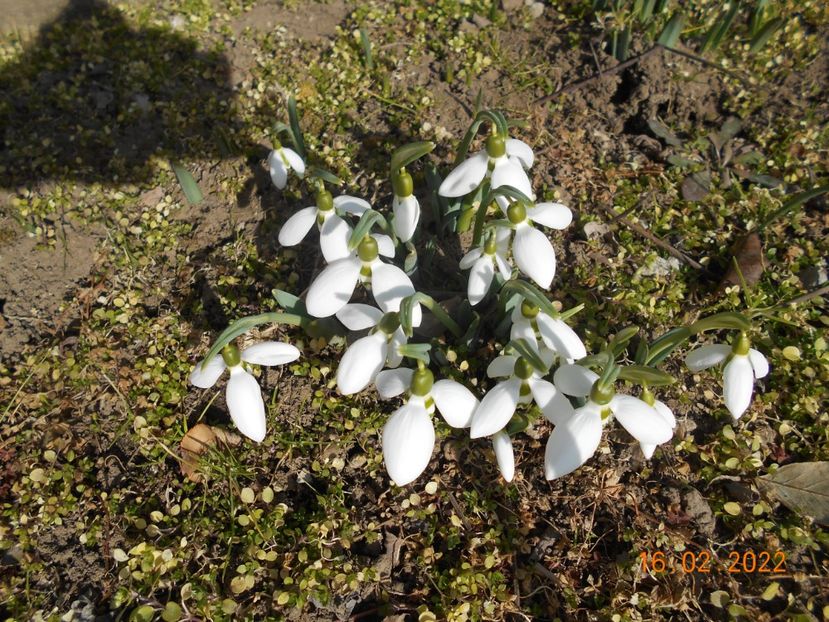  - 02 Iarna 2021-2022