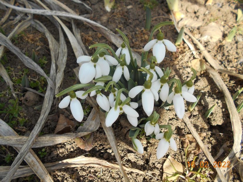  - 02 Iarna 2021-2022