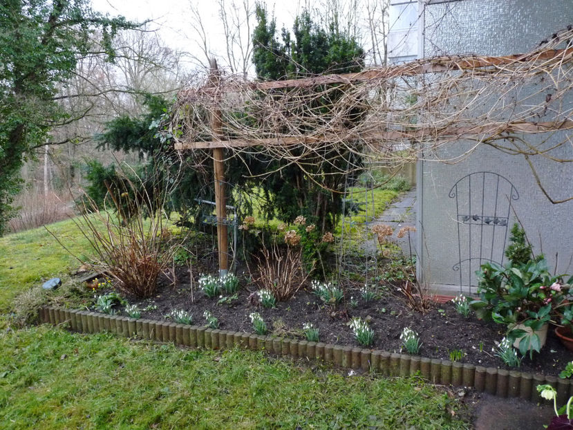  - 2021 - 04 - 2022 - 00 - Iarna