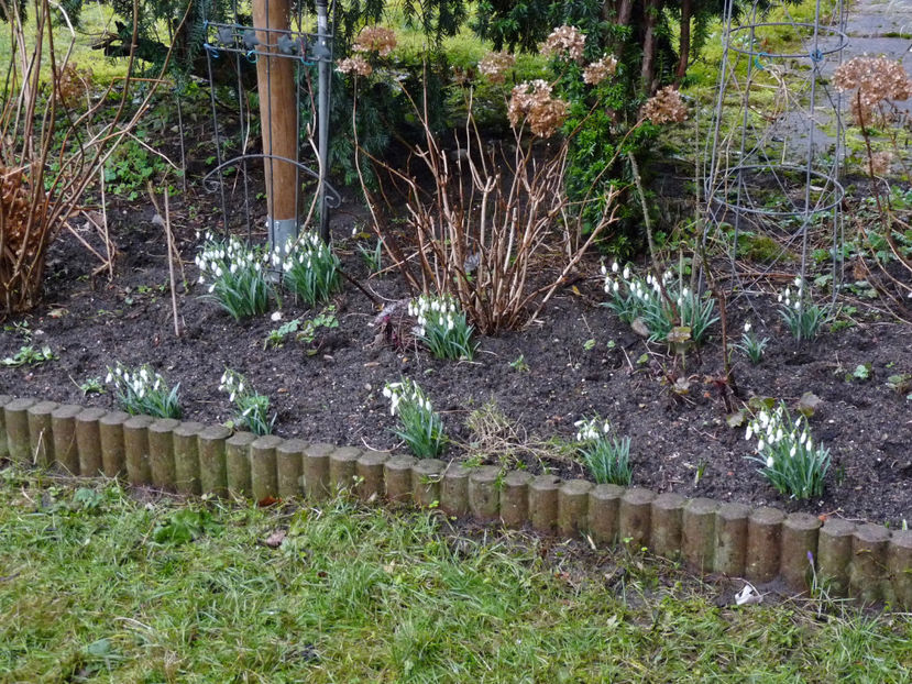 © - 2021 - 04 - 2022 - 00 - Iarna