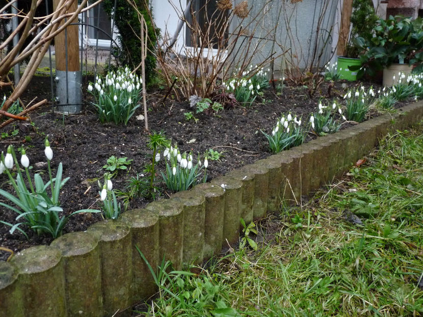 © - 2021 - 04 - 2022 - 00 - Iarna