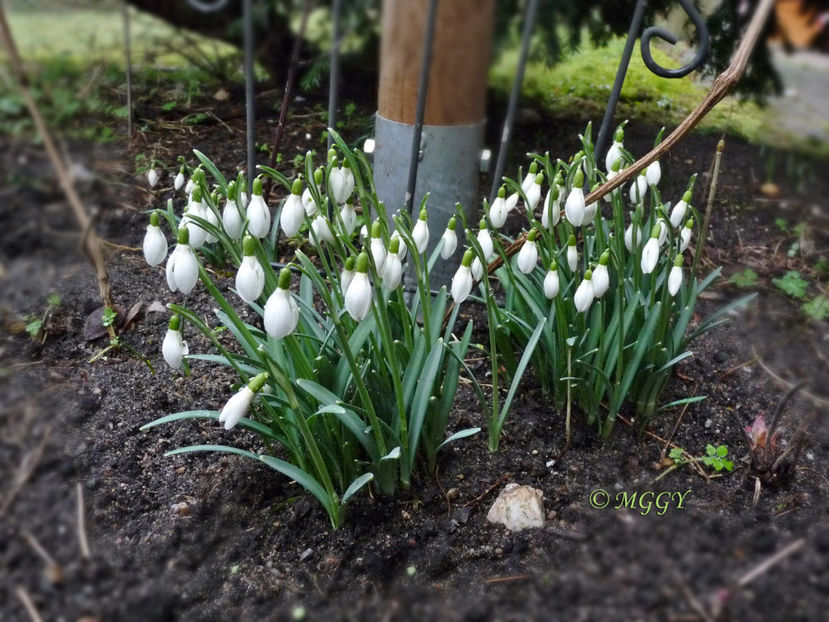 © - 2021 - 04 - 2022 - 00 - Iarna