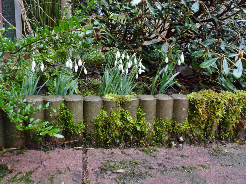 © - 2021 - 04 - 2022 - 00 - Iarna