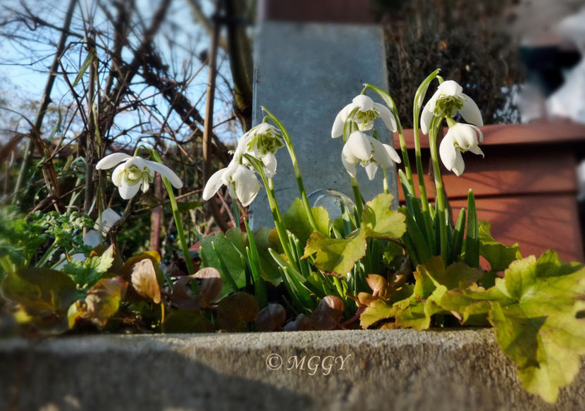 © - 2021 - 04 - 2022 - 00 - Iarna